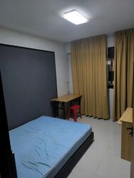 punggol-emerald photo thumbnail #6